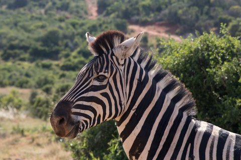 Namibia 2 Wochen Rundreise