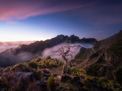 Fotoreise Madeira - Nebel verhangene Berge