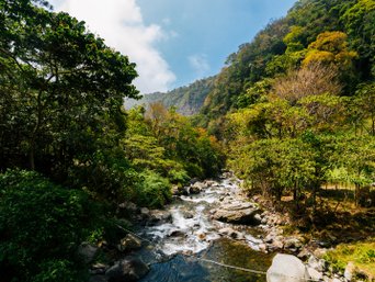 Wilder Flusslauf in Panama