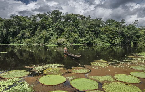 Brasilien Rundreise 2 Wochen - Seerosen mit Boot
