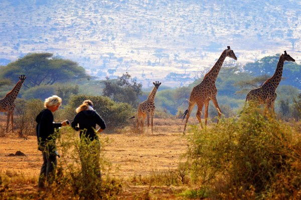 erlebnisreisen und tierbeobachtung