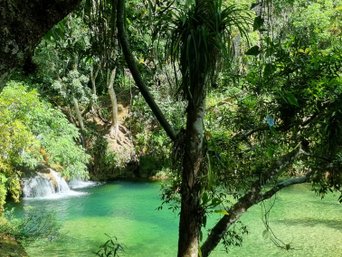 Nationalpark - klares Wasser und Bäume