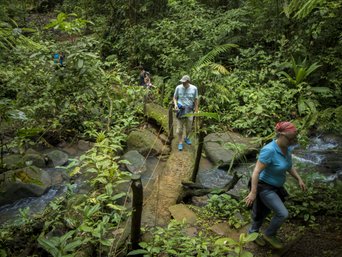 Eine Reisegruppe überquert einen kleinen Bach in der La Tigra Rainforest Lodge