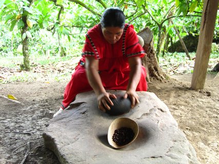 panama gruppenreise - Indigene Kakao