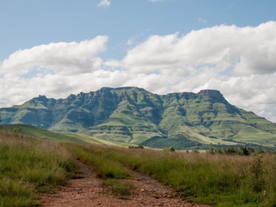 Wiese mit grünen Bergen im Hintergrund - Südafrika Highlights