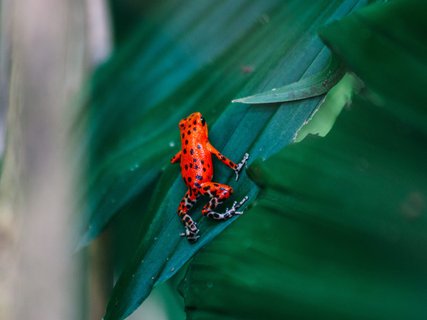 panama rundreise 2 wochen