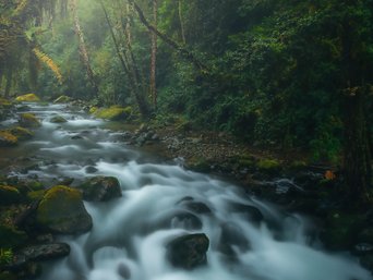 Costa Rica im Mai