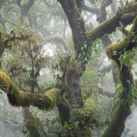 Fotoreise Madeira 