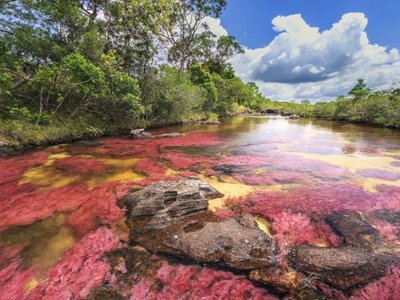 Bunter Fluss Cano Cristales - Kolumbien Highlights
