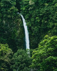 Hoher Wasserfall in La Fortuna