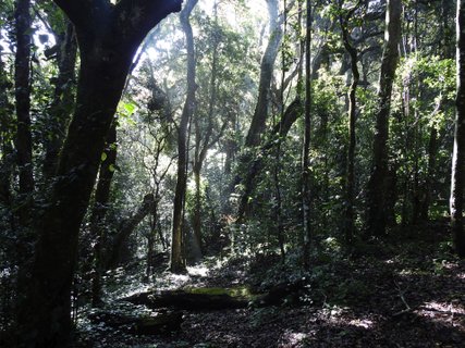 Südindien Rundreise 