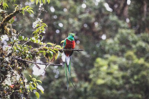 Costa Rica Wanderreise