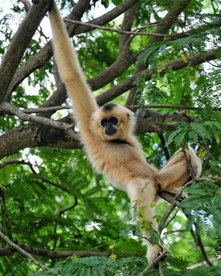 Vietnam Rundreise 2 Wochen