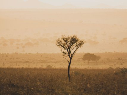 Uganda Rundreise
