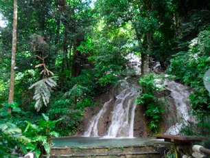 Wasserfall umrandet von grüner Natur