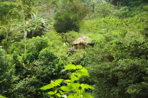 Santa Marta -  Kolumbien Rundreise 3 Wochen