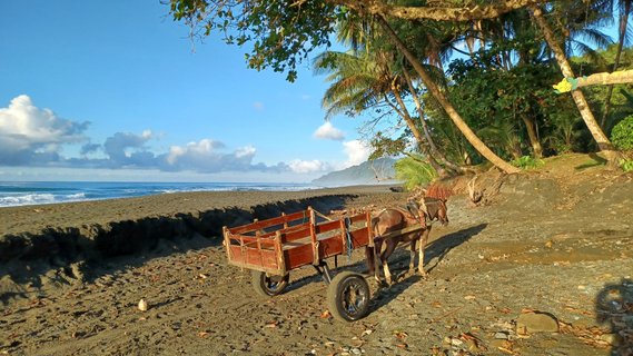 Costa Rica Wanderreise - Eselkarren