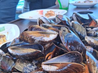 Miesmuscheln auf Teller - Reisebericht Spanien