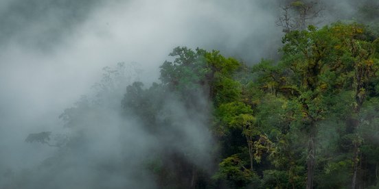 Costa Rica - Fotoreise