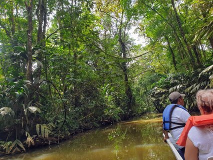 Costa Rica Karibik - Bootsfahrt durch Mangroven