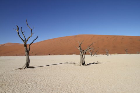 Namibia 2 Wochen Rundreise
