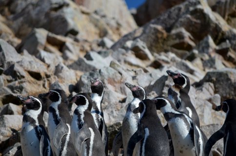 Peru Rundreise 3 Wochen 