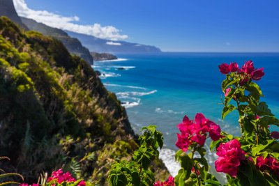 Madeira Reisen Küste mit Blumen