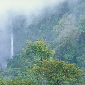Costa Rica Regenwald im Nebel mit Wasserfall