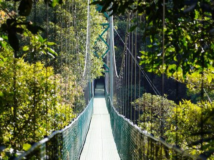 Costa Rica 2 Wochen Gruppenreise - Hängebrücke