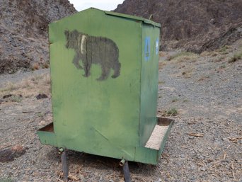 Gobi Bär Mongolei Mazaalei Futterstation