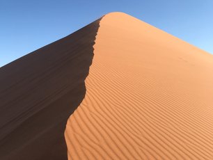 Orangene Sanddüne in der Namib-Wüste