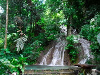 Wasserfall umrandet von grüner Natur