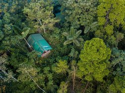 Drohnenaufnahme eines Hüttchens der La Tigra Rainforestlodge umgeben von Regenwald