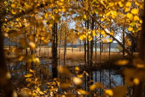 Kanadarundreise geführt