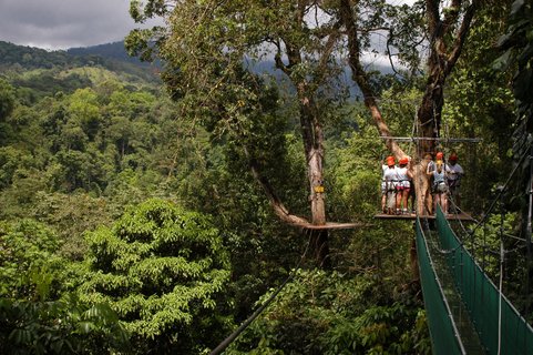 costa rica shuttle - Canopy Tour in Monteverde