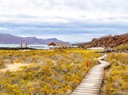 ??????????????????????????????????????????????????????????????????????????????????????????????????????????????????????????????????????????????????????????????????????????????????????????????????? Paradise landscape, wooden path between wild bushes on plai
