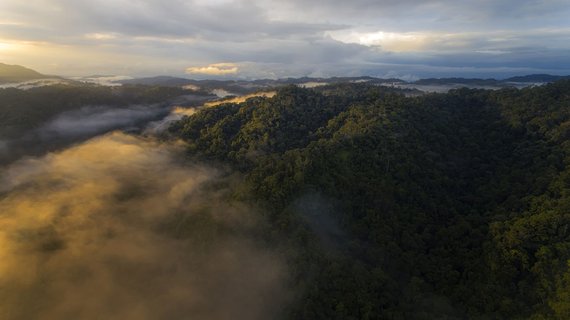 quetzal vogel - Blick auf Bergkette