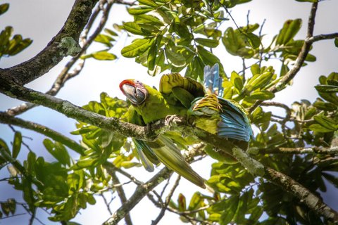 Costa Rica 2 Wochen Gruppenreise