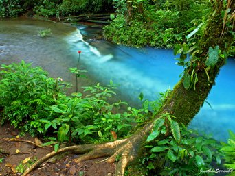Türkisblauer Fluss Rio Celeste