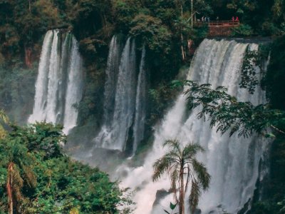 großer Wasserfall im Dschungel - Argentinien und Chile Highlights