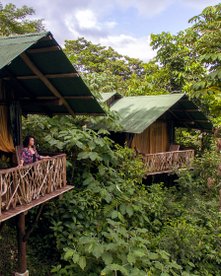 Eine Frau steht auf dem Balkon der La Tigra Rainforest Lodge und schaut in den Regenwald