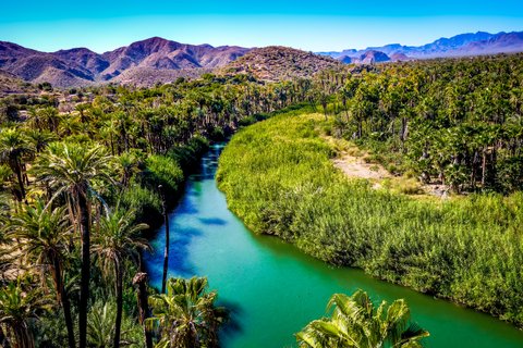 Baja California Rundreise - Oase Mulege gesäumt von Palmen