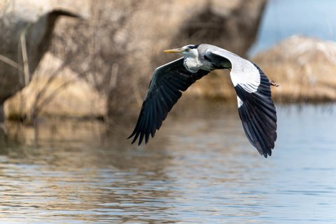 Privatreise Sri Lanka