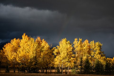 Kanadarundreise geführt