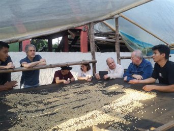 Kolumbien Riesebericht - Kaffeplantage in Huila
