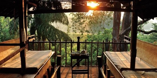 Blick von der Terrasse eines Bungalows in die Natur