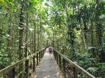 Costa Rica Karibik - Pfad durch den Regenwald