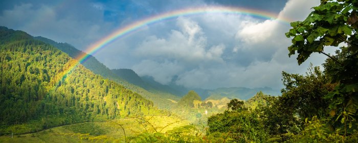 Ein Regenbogen spannt sich über ein grün bewaldetes Tal