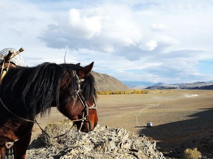 mongolei rundreise 2 wochen pferd in der steppe