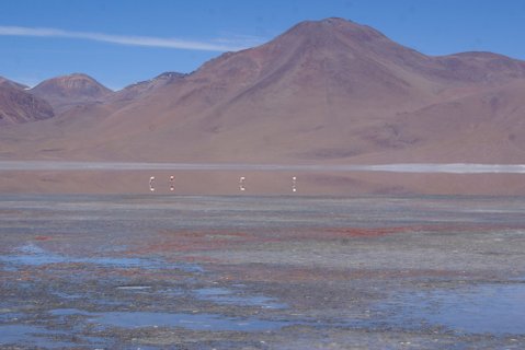 Peru & Bolivien Rundreise - Salar de Uyuni
